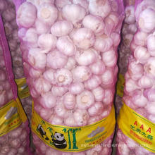 New Crop Garlic Chinese fresh garlic white garlic price